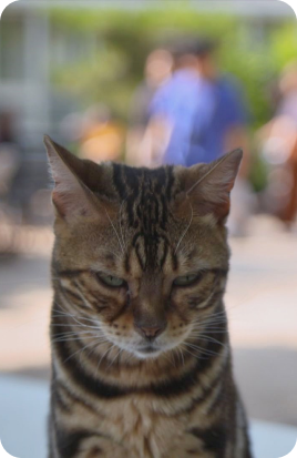 영화 이미지07